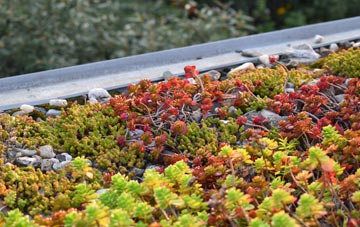 the cost of Shortroods green roof installation