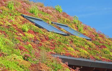 Shortroods living roof systems