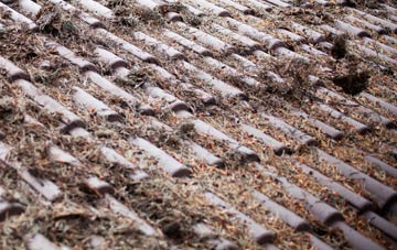 Shortroods roof cleaning companies