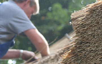 professional Shortroods thatchers