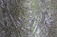 Shortroods fibreglass roof work